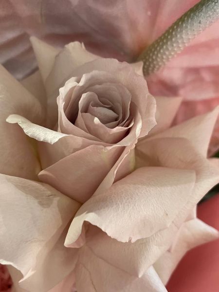 Букет Просекко ROSE